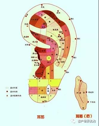 微信图片_20190304110254.jpg 微信图片_20190304110254.jpg