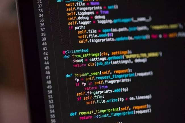 Python Python