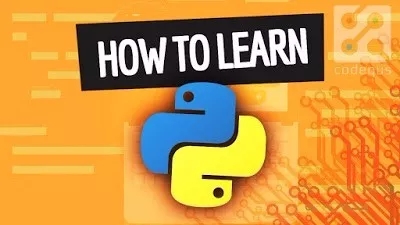 Python Python