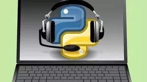 Python Python