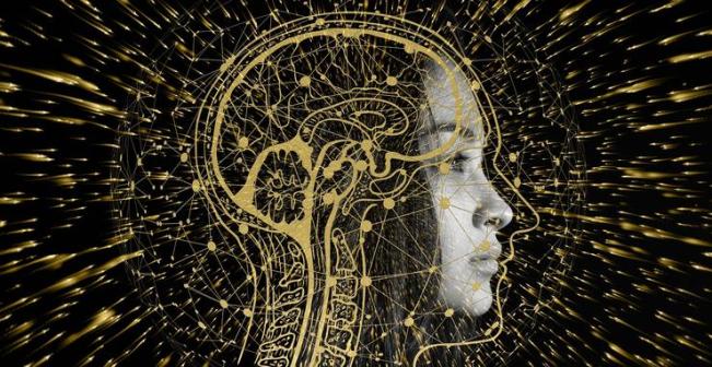 科学家研发出“读心术”,直接将脑电波翻译成文本,错误率低至 3%