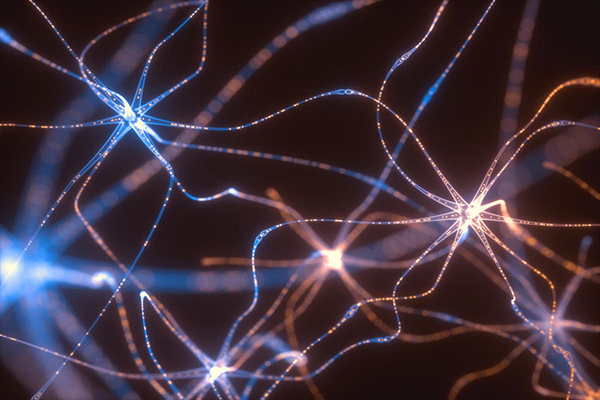 如何在浏览器中使用TensorFlow? 如何在浏览器中使用TensorFlow?