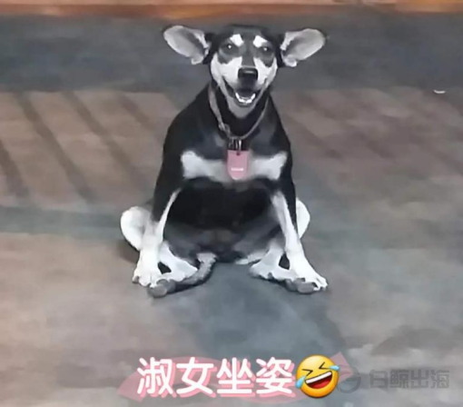 1641383009790422.png image.png