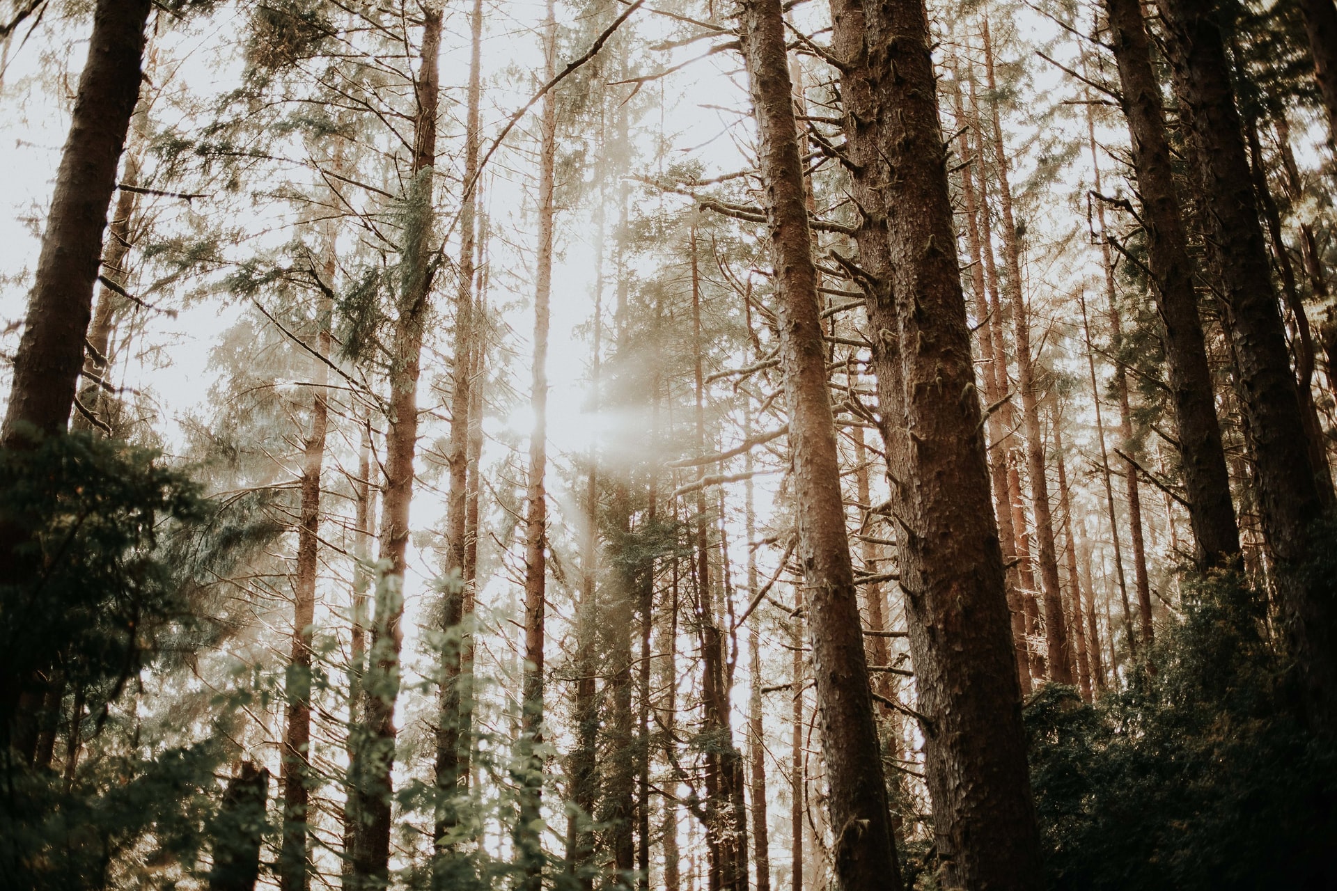 1655291352514958.jpg kristina-wagner-0AVmvglwpYw-unsplash.jpg