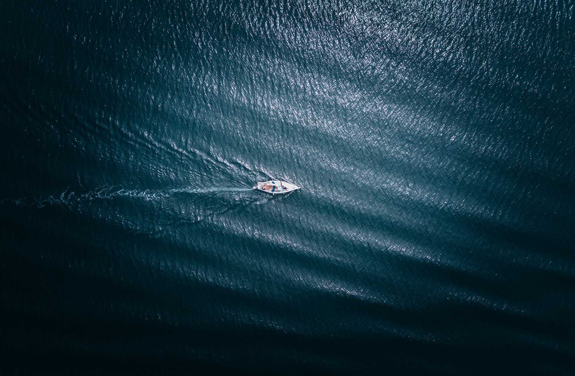 1697111502734374.jpg geranimo-AXSoVgLaHmc-unsplash.jpg