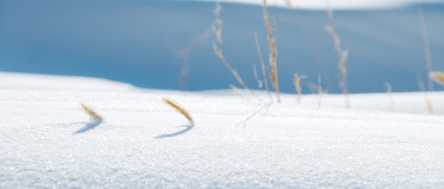 500408605_wx.jpg 500408605_wx.jpg