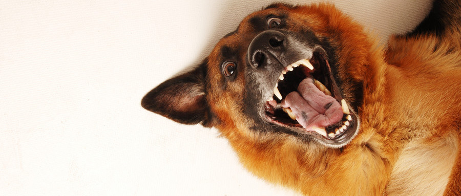 14833_wx.jpg 14833_wx.jpg