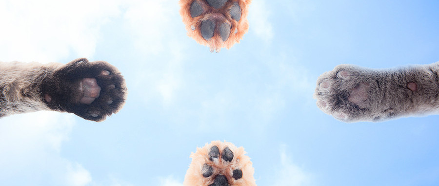 摄图网_500905120_wx.jpg 摄图网_500905120_wx.jpg