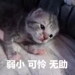 1 个 Python 自动化脚本引发的惨案!把公司搞死了?