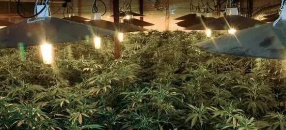 人工智能还是人工智障?——大型算法翻车现场