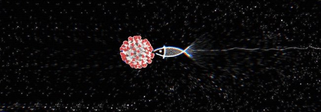 网络钓鱼 网络钓鱼