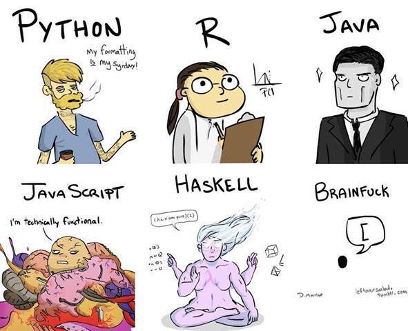 如何学会所有的编程语言?