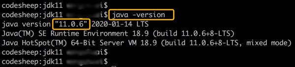 对不起我拖后腿了!我才刚用上Java 11