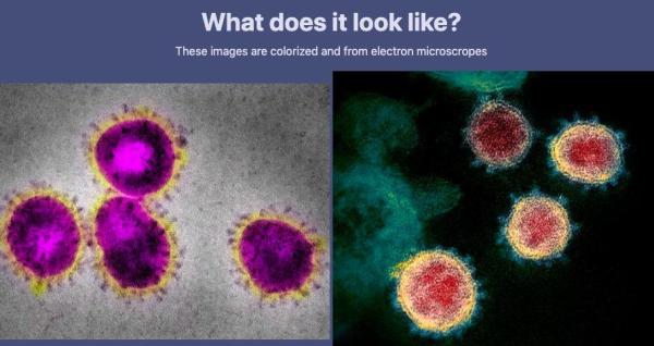 17å²é«˜ä¸­ç”Ÿç‹¬ç«‹å¼€å‘å…¨çƒæœ€ç«ç–«æƒ…追踪网站ï¼ä»–çš„å¶åƒæ˜¯ä¹”布斯