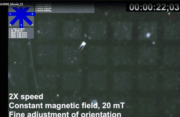 韩国科学家用机器人体外操控了小鼠脑神经!不到 1 分钟实现通信连接