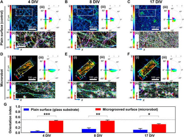 韩国科学家用机器人体外操控了小鼠脑神经!不到 1 分钟实现通信连接