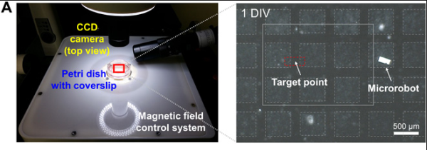韩国科学家用机器人体外操控了小鼠脑神经!不到 1 分钟实现通信连接