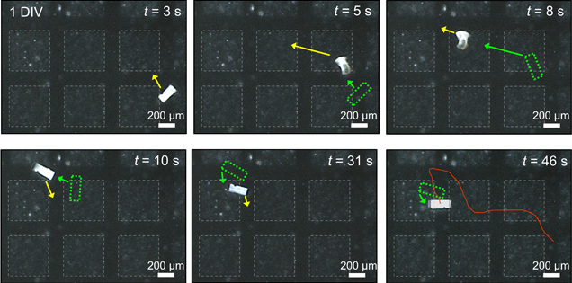 韩国科学家用机器人体外操控了小鼠脑神经!不到 1 分钟实现通信连接
