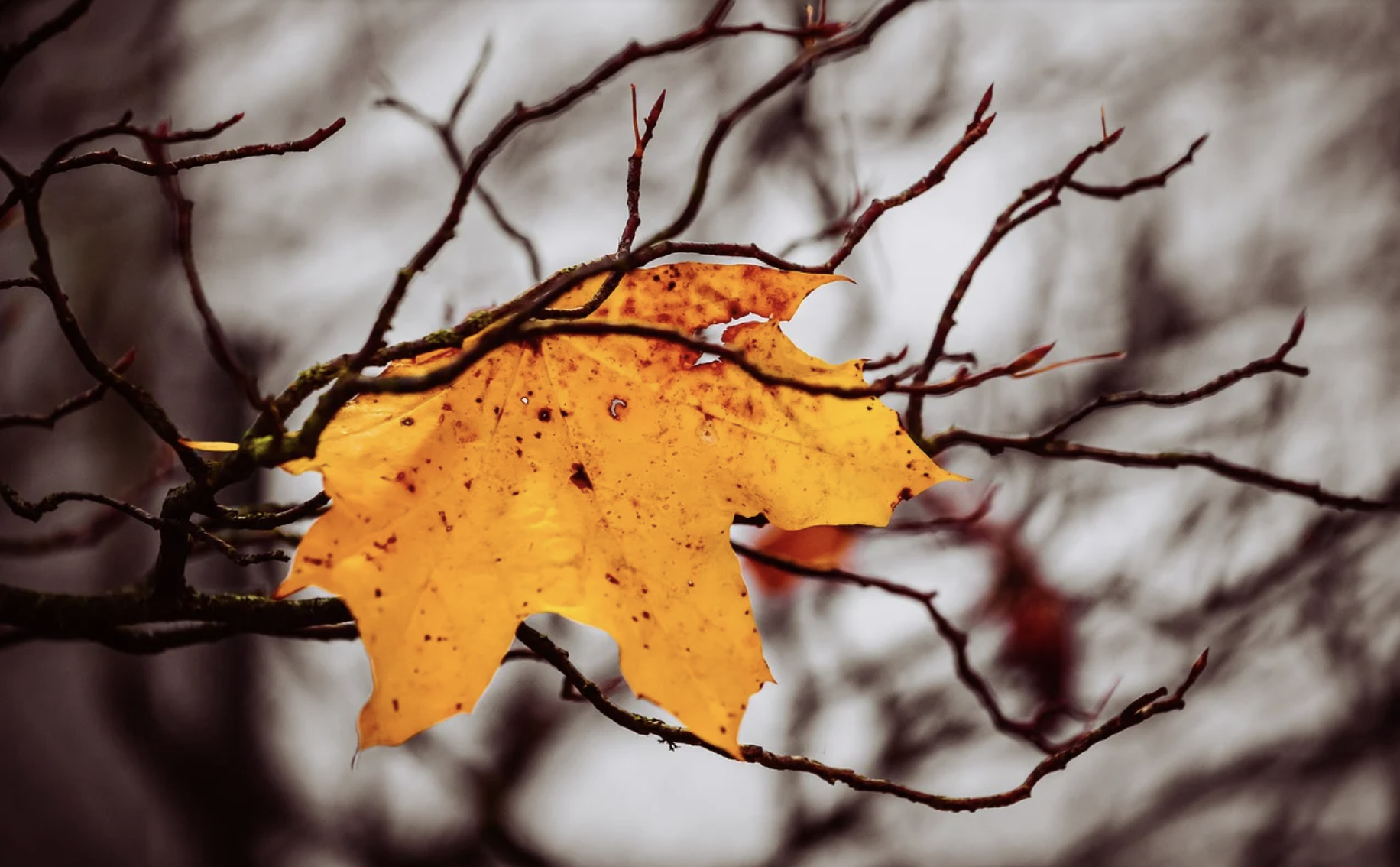 QQ20211111-113002@2x.png QQ20211111-113002@2x.png