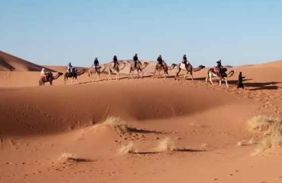 1637831292260479.jpg 1637830678(1).jpg