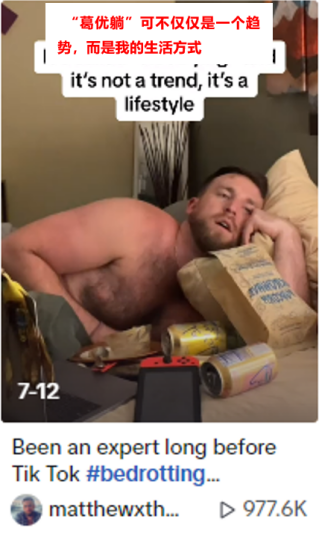 1695294542279732.png 1695294539_pic_real.png