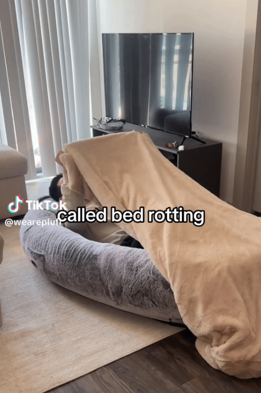 1695297034330245.png image.png